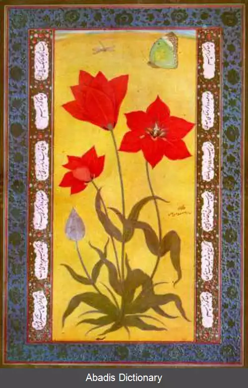 عکس استاد منصور