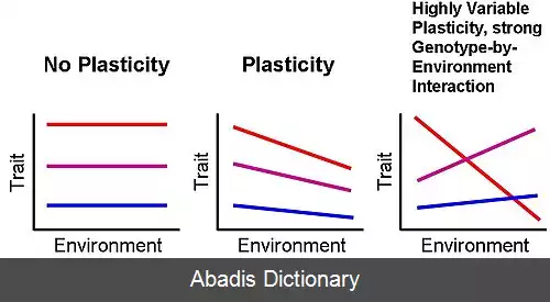 عکس انعطاف پذیری فنوتیپی