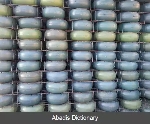 عکس دال دو محوره توخالی