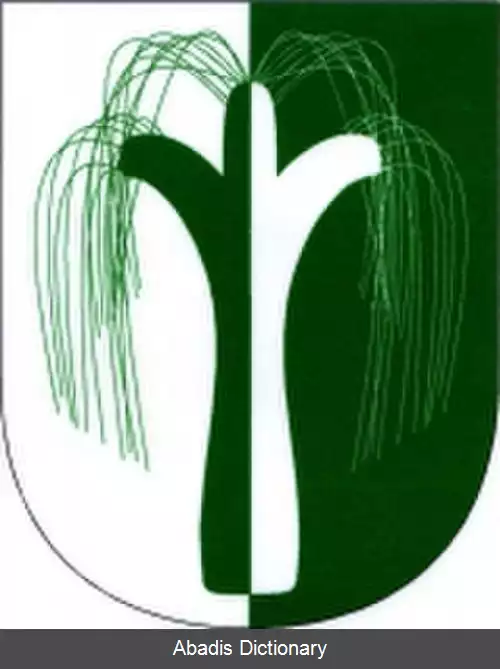 عکس ملتشیتسه