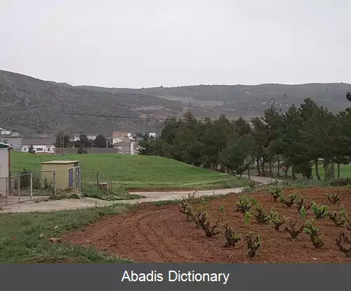 عکس فوئنتئالبییا