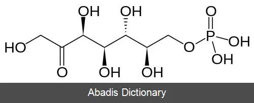 عکس سدوهپتولوز ۷ فسفات