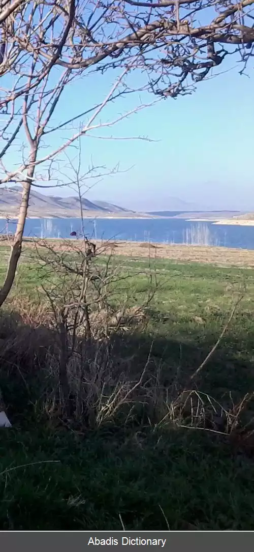 عکس آلکلو