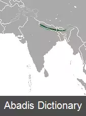 عکس خرگوش زبرمو