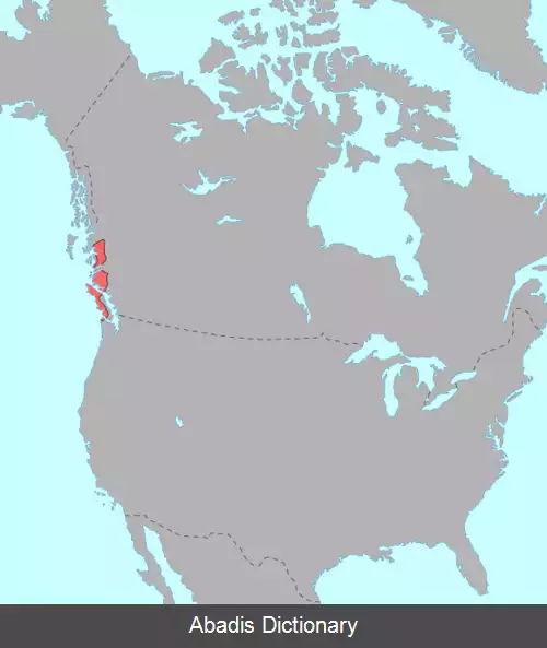 عکس زبان های واکاشی