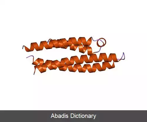 عکس آپولیپوپروتئین