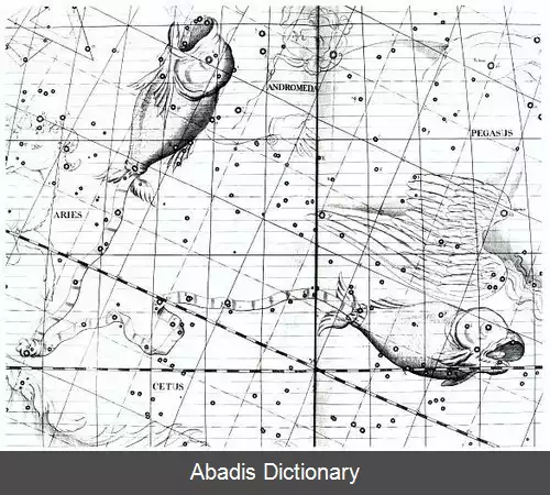 عکس فهرست ستاره های ماهی