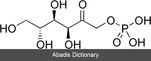 عکس فروکتوز ۱ فسفات