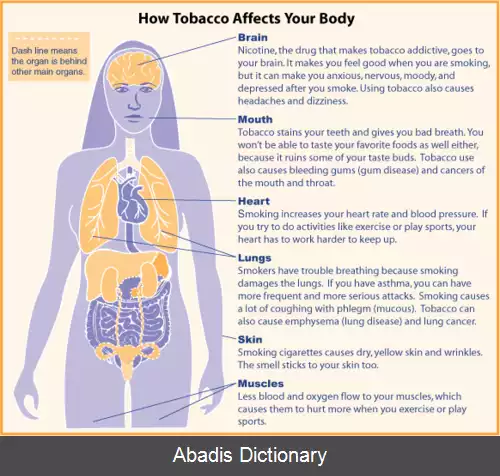 عکس زنان و مصرف دخانیات