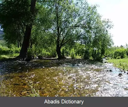 عکس رود سلبه