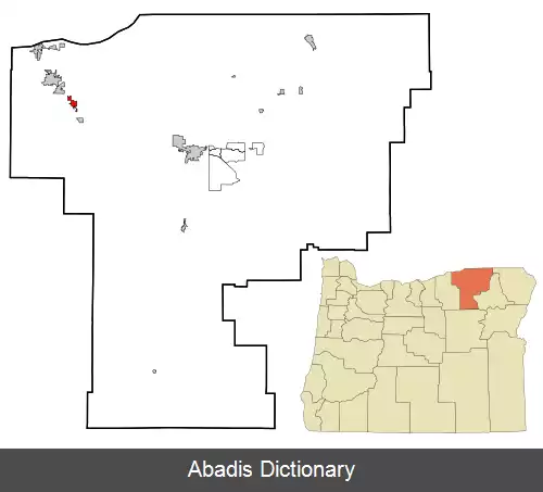 عکس استنفیلد اورگن