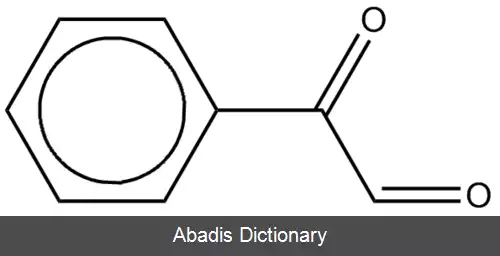 عکس فنیل گلی اکسال