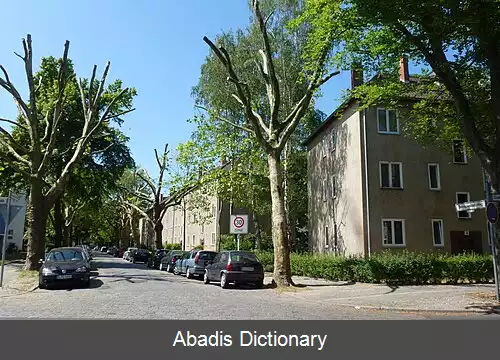 عکس بورزیگوالده