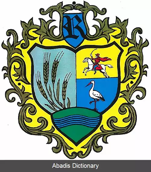 عکس راکوتسی اوی فالو
