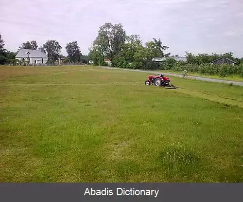 عکس بژوستوویتس