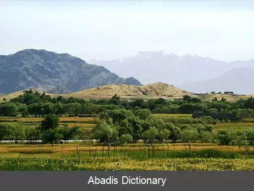 عکس ولسوالی علیشنگ