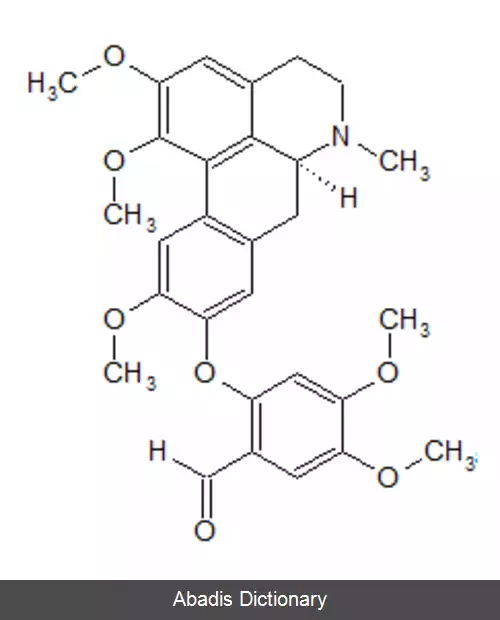 عکس هرناندالین