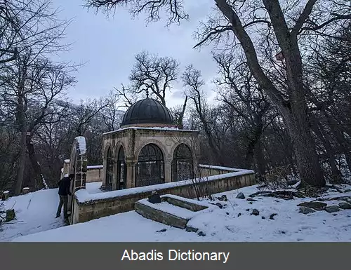 عکس فقی طیران