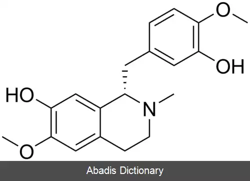 عکس رتیکولین