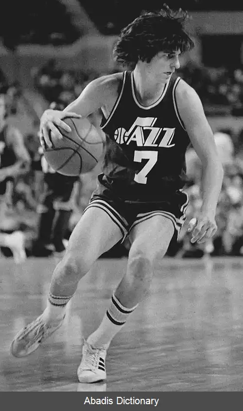 عکس پیت ماراویچ