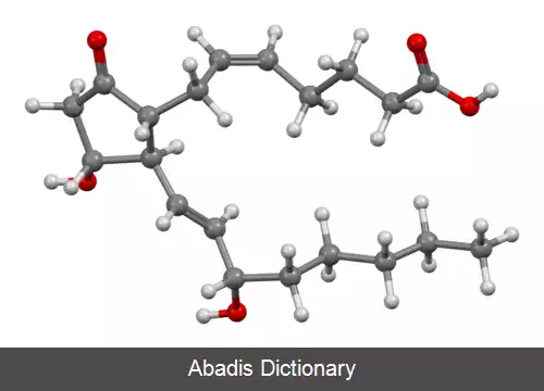عکس پروستاگلاندین E2