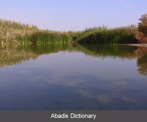 عکس عین فشخه