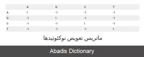 عکس الگوریتم اسمیت واترمن