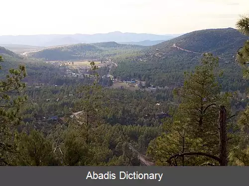 عکس استراوبری آریزونا