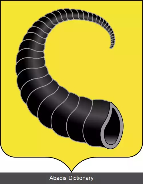 عکس روگاچف
