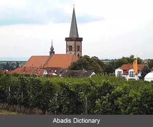 عکس پفدرسهایم