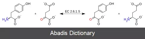 عکس تیروزین آمینوترانسفراز