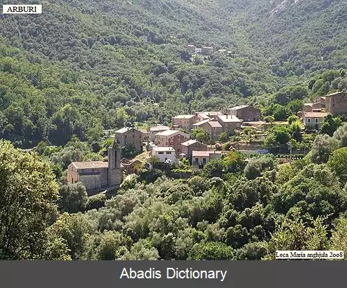 عکس آربوری