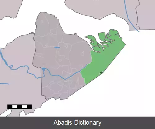 عکس نیو نامن