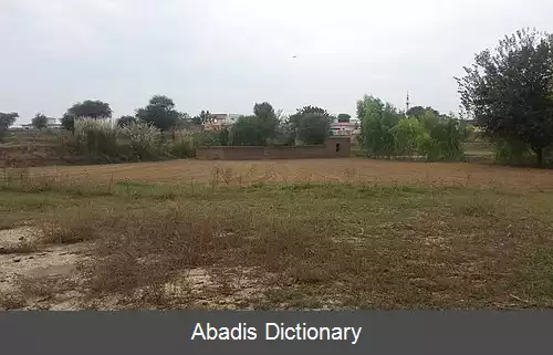 عکس کهنگر کلان