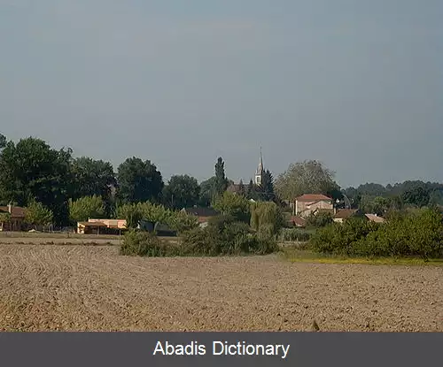 عکس بوسیت
