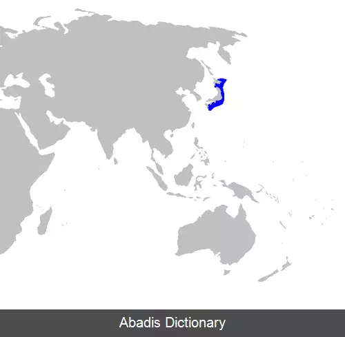 عکس سگ ماهی باله سفید