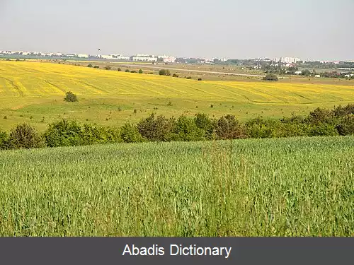 عکس فرودگاه ترنوپیل