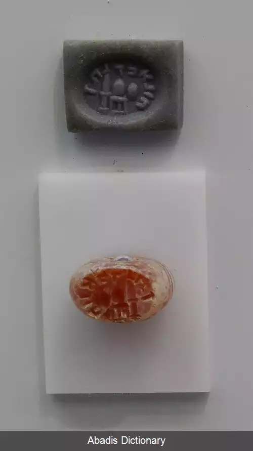 عکس ربی هونا