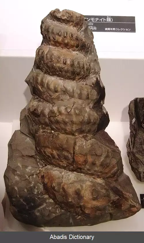 عکس سنگی برجان