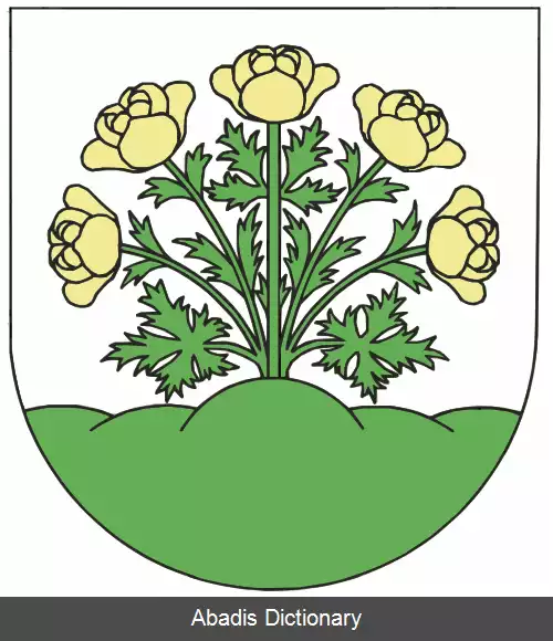 عکس ویتیزنا