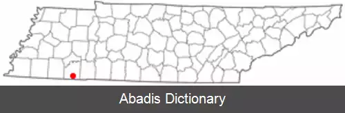 عکس استویو تنسی