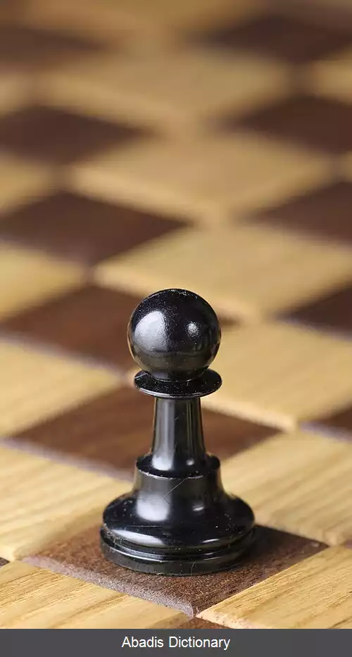 عکس پیاده (شطرنج)