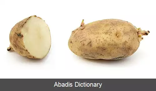 عکس سیب زمینی زنگارگون