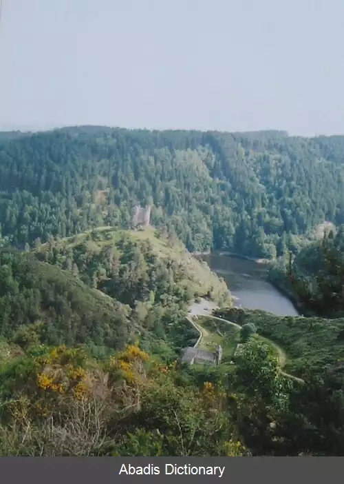 عکس آلوز