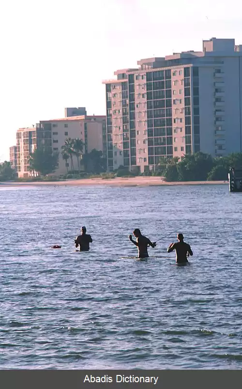 عکس فورت مایرز بیچ فلوریدا