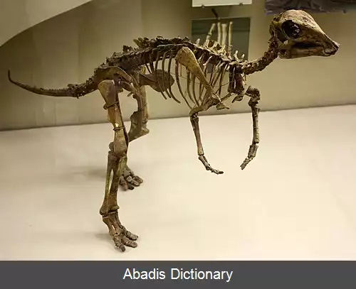 عکس آرستانوسور