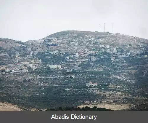 عکس بزاریا