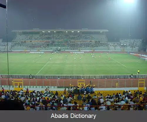 عکس جام ملت های آفریقا ۲۰۰۸