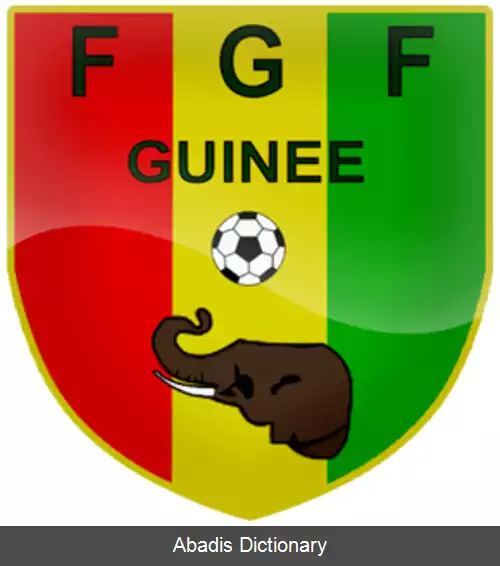 عکس تیم ملی فوتبال گینه