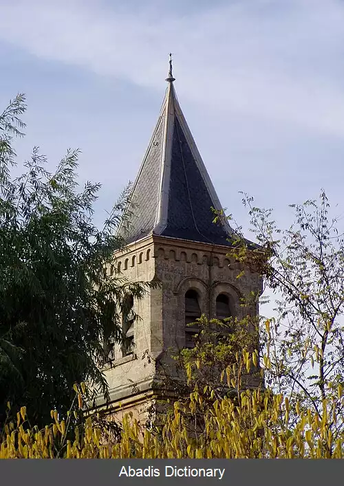 عکس ونلس